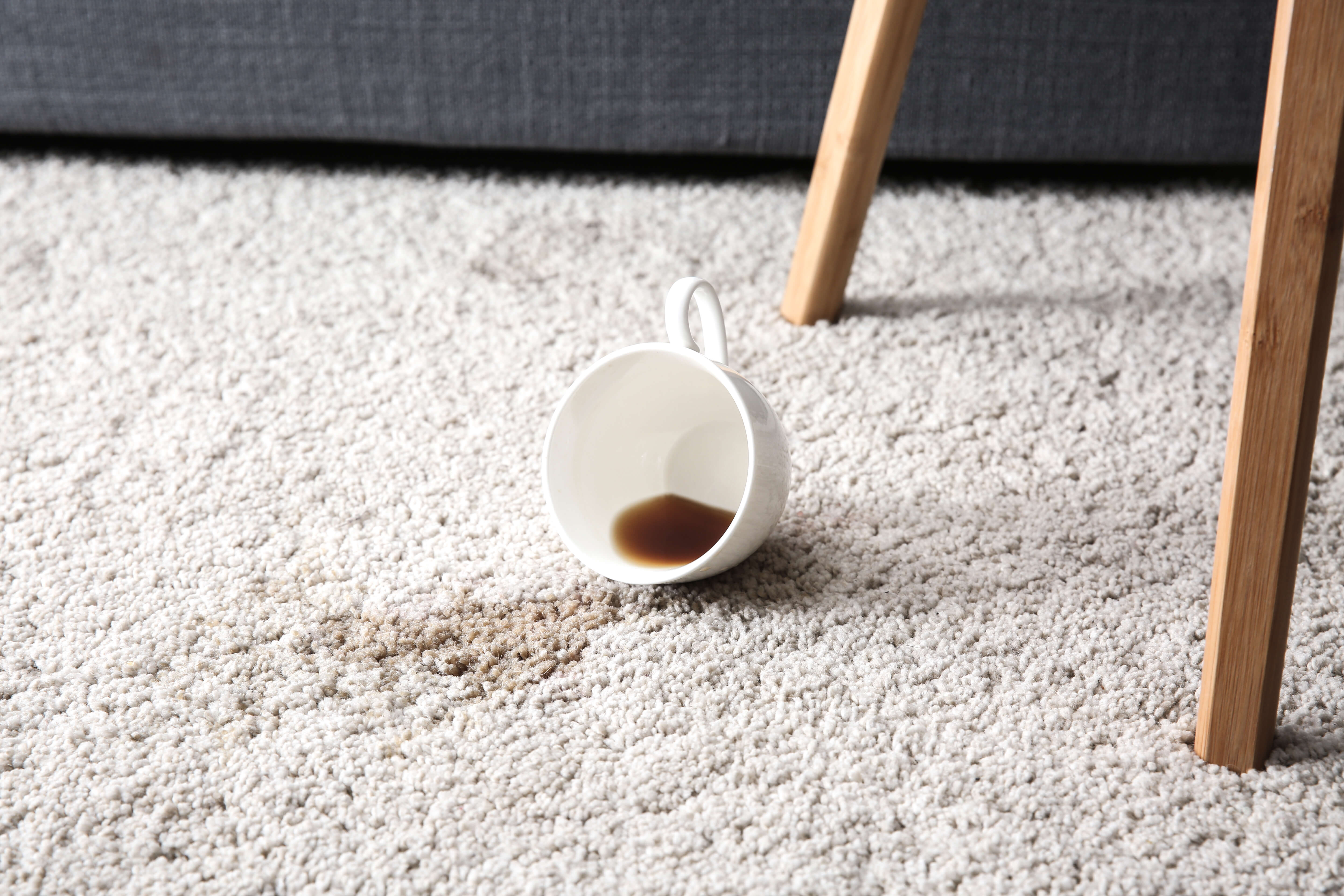 How to remove coffee stains from carpets, clothes, and more